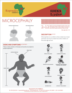 A page from Kupenda's Disability Guidebook which instructs about microcephaly